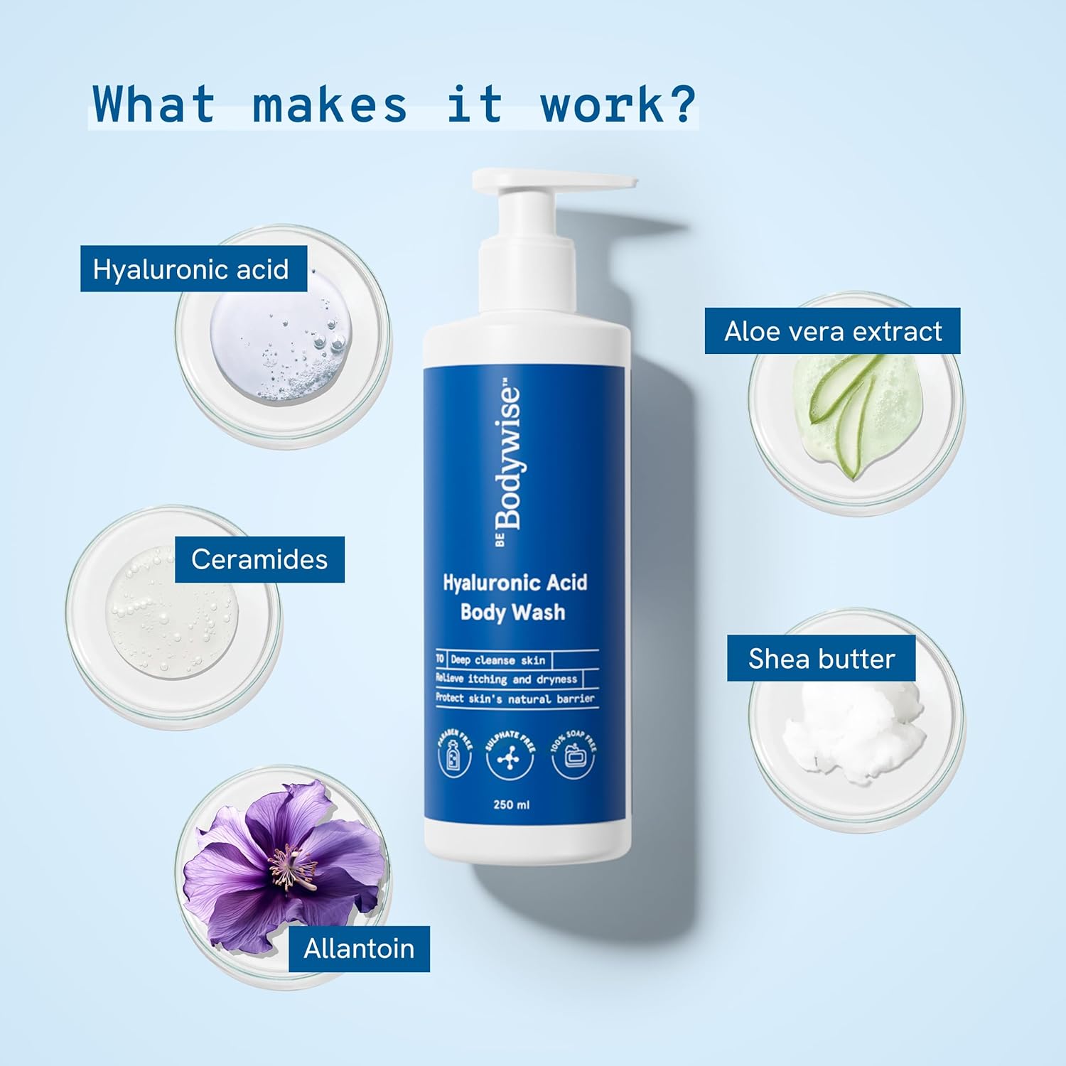 Be Bodywise Hyaluronic Acid Body Wash with Aloe Vera Extract | Deep Cleanses Skin & Provides Intense Hydration to Skin| Gentle and Suitable for All Skin Types | 250ml